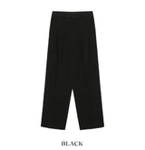 テイ ブラッシュド ツーピンタック スラックス