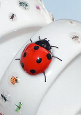 スペシャル# サマー ガーデン バングル (Frog/Ladybug)