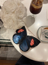 Butterfly Pouch