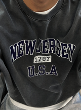Taper New Jersey Heavy Pigment Overfit Sweatshirt