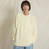 ドルフィンヘアリーVネックニット