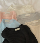 Rose See-through Wool Slim Rib Knit (6color)