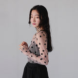 clover see through tops
