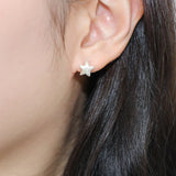 Twinkle chubby star earring(Matte)