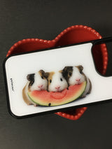 ウォーターメロン ギニーピッグ ケース