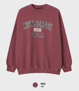 Taper New Jersey Heavy Pigment Overfit Sweatshirt