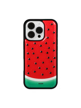 cubic fruit case (watermelon)