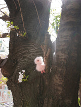 Cosymosy Mini Bird Keyring - Cherry Blossom