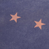 TWO STAR T SHIRT