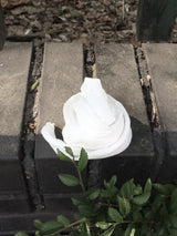 Tiny Dot Scarf (white)