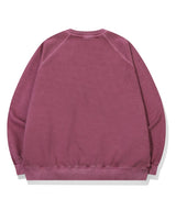 Pastel Bunny Raglan Pigment Sweatshirt