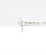 BIRDSTAR 01 CL