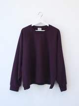 boxy raglan crop sweatshirt 