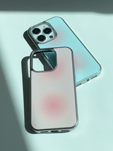 ダストエポキシーシルバーケース - apple