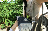dots see-through t-shirts