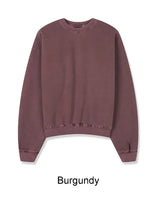 Piel Pigment Crop Sweatshirt