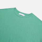 fuzzy T