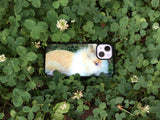beige rabbit epoxy case
