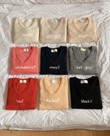 Simple Basic V-neck Knit (10color)