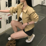 [Bellide made/Daily]ワイタンスリットラインコットンブルゾン