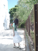 canvas skirt