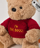 Message Teddybear [RED]