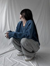 basic V-neck knit (2color)