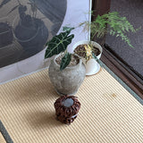 POU POU ポット (MELING CHOCO) POPO