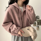 Dali Wool String Avant Snap Hooded Jumper