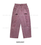 Logan Destroyed Pig Denim Pants
