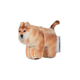 【limited price】Guma, Shiba Inu 