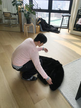 No.1535 steady V KNIT (4color)