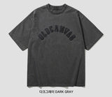 26SS★ オールドキャンバスピグメントショートスリーブTシャツ