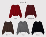 ラウンドネック Or Vネックのデイリーベーシックニット (10color)