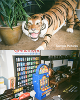 アップサイクルド ディスポーザブル フィルム カメラ
