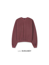 Pigment Crop Sweatshirt