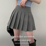 Bard A-line accordion pleated mini skirt