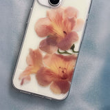 pressed flowers : trumpet vine