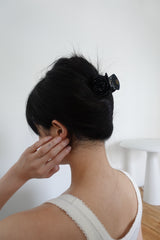 シャイローズヘアピン (2C)