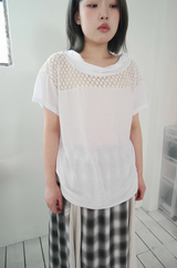 dot net T (3c)