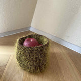 [MADE] Étang Moss Basket M