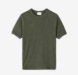 No.1235 M golgi muscle half T (5color)