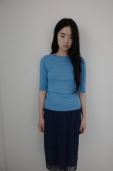 カラ―セクションT (5c)