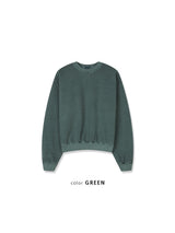 Pigment Crop Sweatshirt