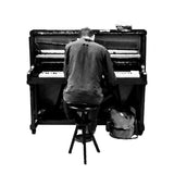 Pianist (Glass Bumper)