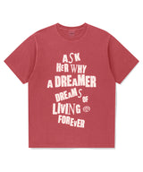 ドリーマーピグメントTシャツ