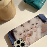 [three kitty sisters hard case]