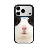 Cookies 'n Cream guinea Case
