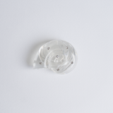 Ammonite Tok Standard_ Clear