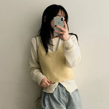 Carina Knitted Bustier Vest